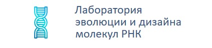 Лаборатория эволюции и дизайна молекул РНК